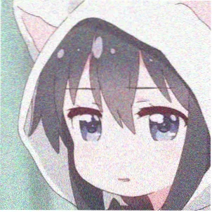 观众 苏禾 头像